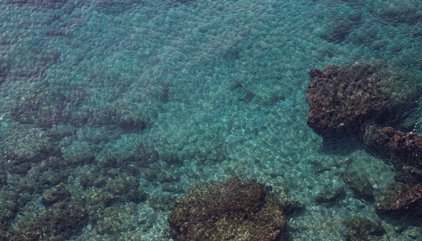 Spots & îles des Antilles